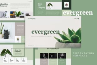 Evergreen PowerPoint Template: A Clean Minimalist Design for Versatile Presentations